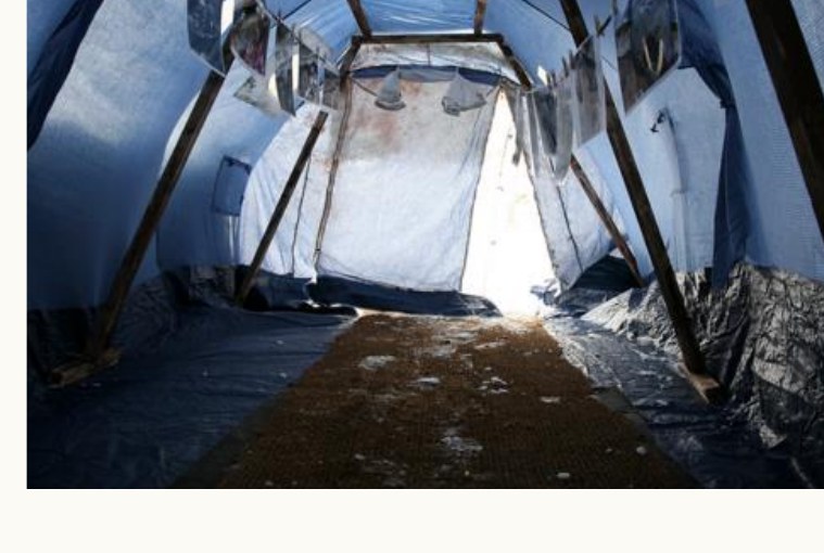 Interior of a standard-issue tent with no insulation, exposed to cold and damp